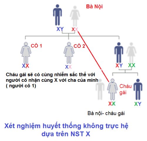 xet nghiem adn ba noi chau gai