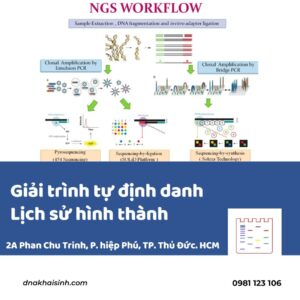 Giai trinh tu dinh danh lich su hinh thanh Apollo Biotek